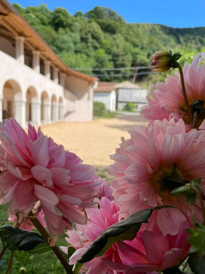 Agriturismo Il Bosco Camere Vittorio Veneto Εξωτερικό φωτογραφία